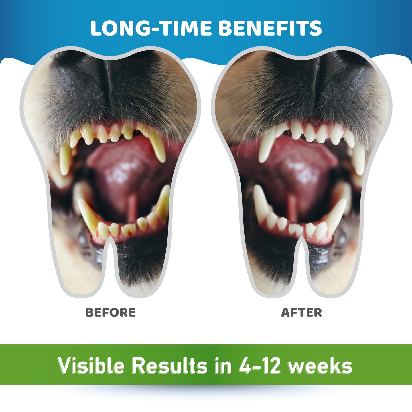 Dog Teeth Cleaning Powder – Tartar Remover & Fresh Breath