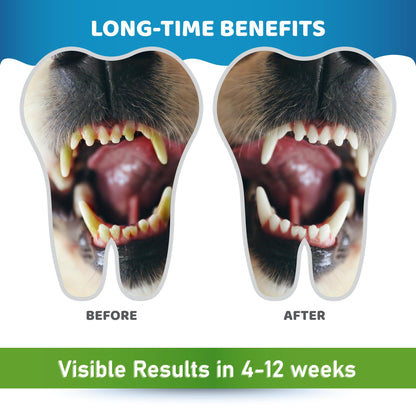 Dog Teeth Cleaning Powder – Tartar Remover & Fresh Breath